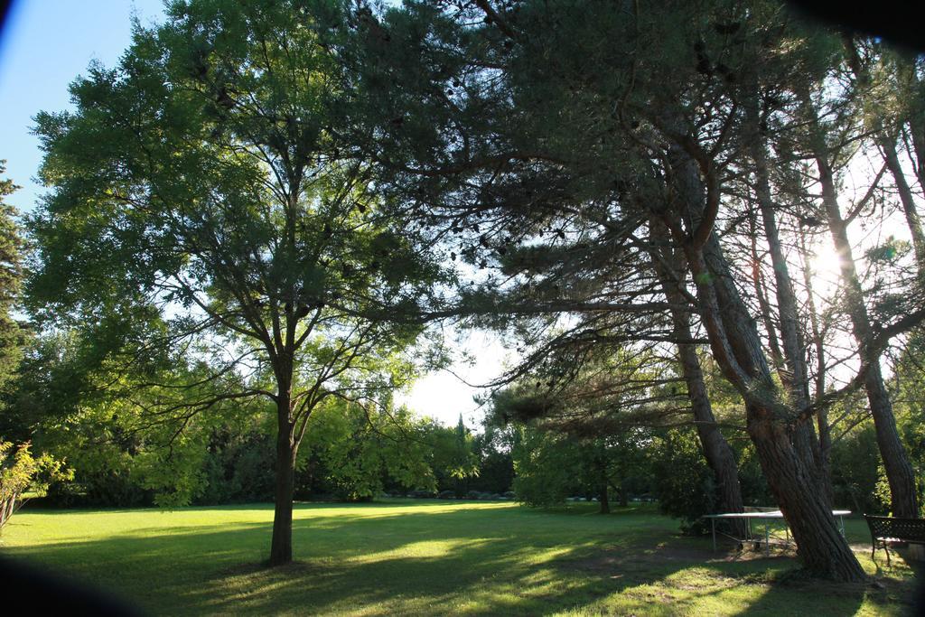 Mas La Provence Bed & Breakfast L'Isle-sur-la-Sorgue Exterior photo